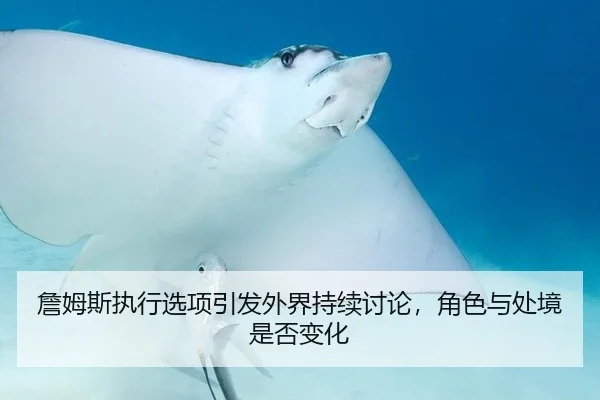 詹姆斯执行选项引发外界持续讨论，角色与处境是否变化